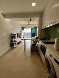 Eight Riversuites (D12), Condominium #569324211